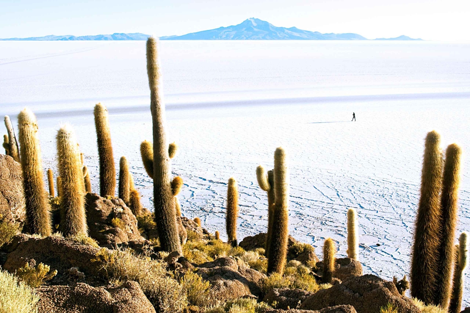 Från La Paz: Uyuni Salt Flat Tour & buss tur och retur med övernattning