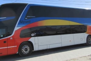 Från La Paz: Uyuni Salt Flat Tour och buss tur och retur med övernattning