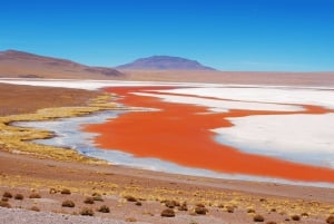 From La Paz: Uyuni Salt Flats 5-Day Tour with Bus Transfers