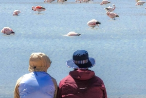 Da La Paz: Tour di 5 giorni delle Saline di Uyuni