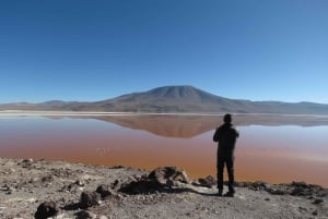 La Paz: Uyuni Salt Flats & Lagoon Share Trip (Privatzimmer)