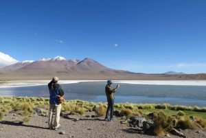 La Paz: Viaggio in comune con le saline e la laguna di Uyuni (camera privata)