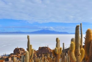 Van La Paz: excursie naar de zoutvlakten van Uyuni + retourbus