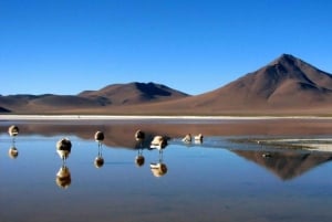 From La Paz: Uyuni Salt Flats Tour | Bus La Paz - Uyuni |