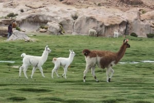 De La Paz: Salar de Uyuni e Vulcão Tunupa de ônibus.