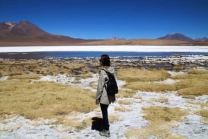 From Lima: 13-Day Tour to Machu Picchu and Uyuni Salt Flats