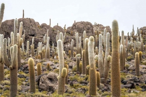 Z Lima-Perú: solnisko Uyuni 4 dni 3 noce