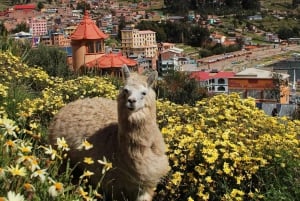 From Puno: 3-day excursion to La Paz and the Uyuni salt flat