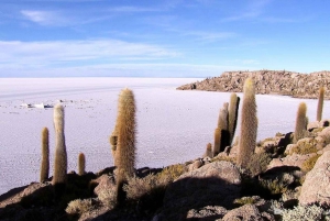 Vanuit Puno: 3-daags La Paz & Uyuni zoutvlakte avontuur