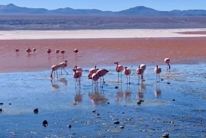 Punosta: 6 päivän Uyunin suolatasangot ja Titicaca-järven kierros