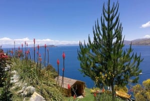 From Puno | Catamaran on Lake Titicaca-visit to Isla del Sol