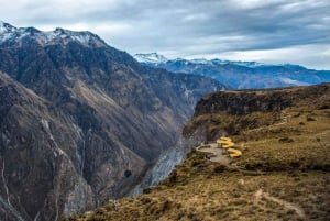 From Puno: Colca Valley Tour 2 days with Transfer to Arequipa