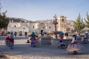 From Puno: Colca Valley Tour 2 days with Transfer to Arequipa