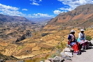 From Puno: Colca Valley Tour 2 days with Transfer to Arequipa