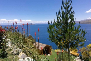 Depuis Puno|| Excursion à Copacabana et à l'île du soleil ||