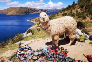 Vanuit Puno | Excursie naar Copacabana en Zonne-eiland | Excursie naar Copacabana en Zonne-eiland