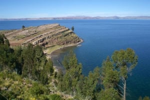 Desde Puno: Excursión de un día a Uros Taquile Sillustani