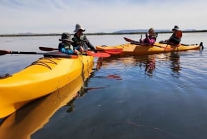 From Puno: Kayak excursion to the Uros Islands | Full Day |