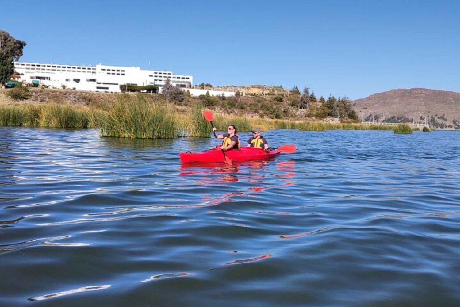 Depuis Puno || Visite d'une jounée sur les îles Uros || Journée complète ||
