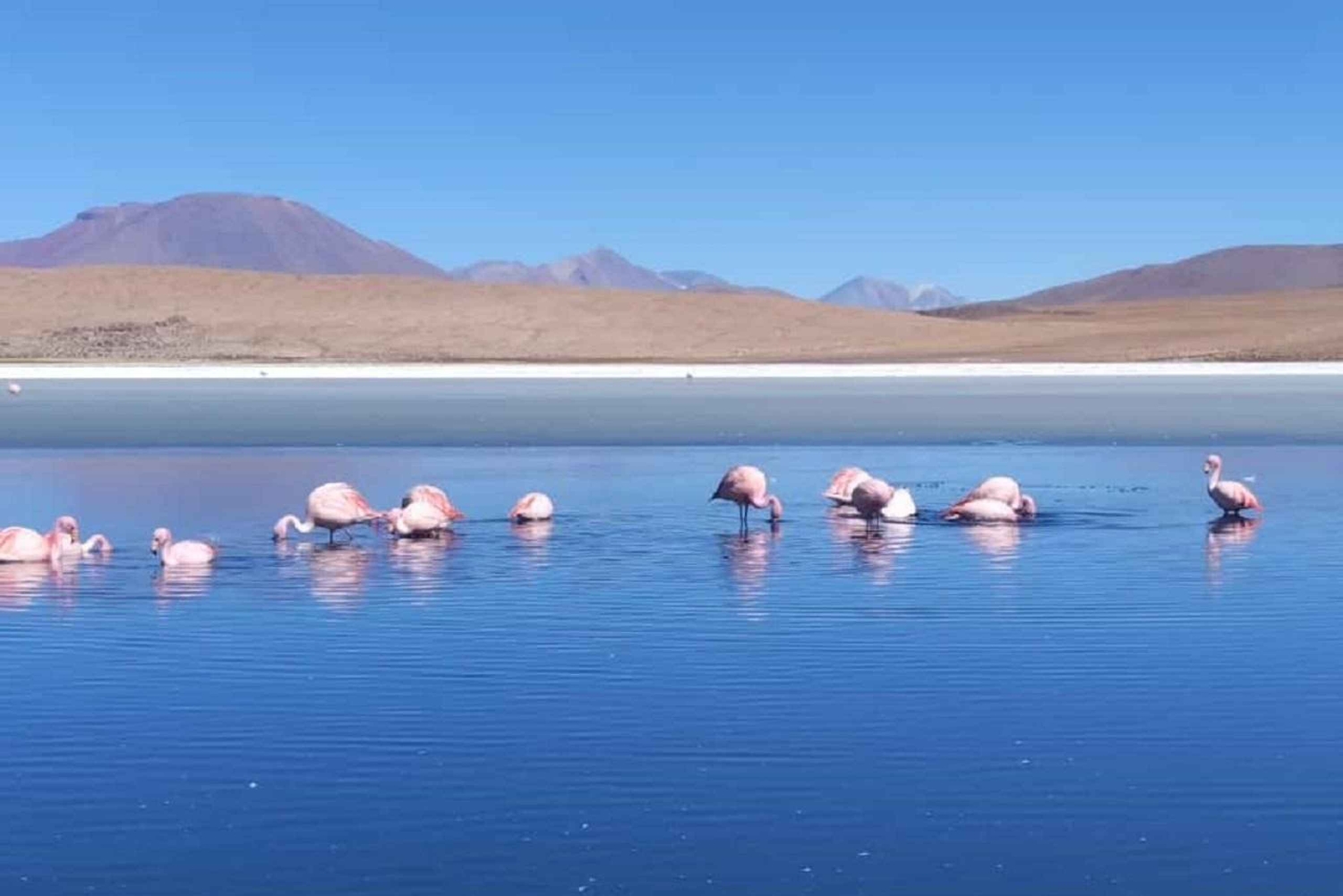 Depuis Puno : La Paz City Tour - Salar de Uyuni 4 jours