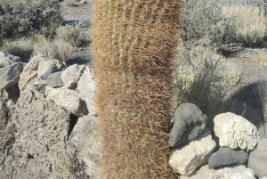 Depuis Puno : La Paz City Tour - Salar de Uyuni 4 jours