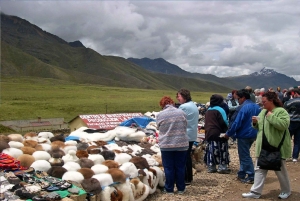 fra Puno Lake Titicaca 2 dager med buss til Cusco