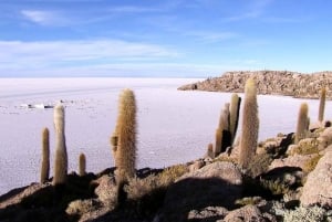 De Puno: Excursão a La Paz, Salar de Uyuni e Rota Aymara
