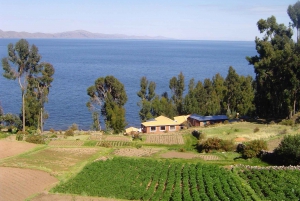 De Puno: excursão de 2 dias às Ilhas Uros, Amantaní e Taquile