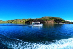 From Puno-Full day Tour Uros -Taquile Islands ( fast boat )