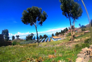 Vanuit Puno-Dagvullende tour Uros -Taquile Eilanden ( snelle boot )