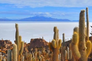 Vanuit San Pedro de Atacama: 3-daagse Uyuni zoutvlakte tour