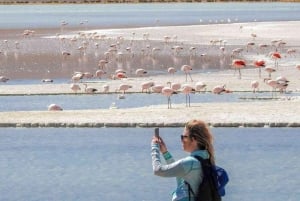 Från San Pedro de Atacama: 3-dagars Uyuni Salt Flat Tour