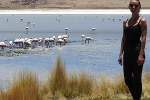 Von San Pedro de Atacama: 3-tägige Tour durch die Uyuni Salt Flats