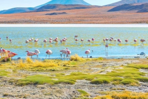 Z San Pedro de Atacama: 3-dniowa wycieczka po solnych równinach Uyuni