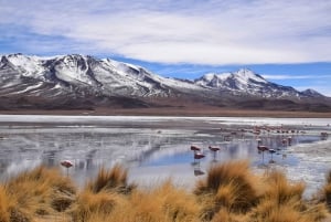 From San Pedro de Atacama: 3-Day Uyuni Salt Flats Tour