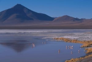 Au départ de San Pedro de Atacama : circuit de 3 jours dans le désert de sel d'Uyuni