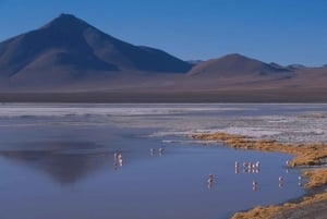 Desde San Pedro de Atacama: Tour de 3 días a los salares de Uyuni