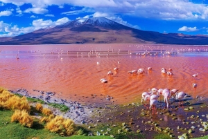 Ab San Pedro de Atacama: 3-tägige Tour durch die Salzwiesen von Uyuni