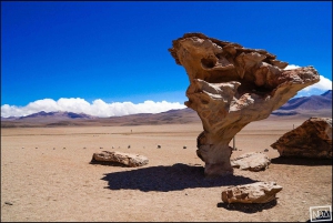 From San Pedro de Atacama 3D Tour in Uyuni