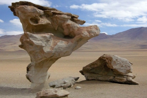 From San Pedro de Atacama 3D Tour in Uyuni