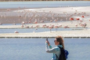 From San Pedro de Atacama: 4-Day Uyuni Salt Flats Tour