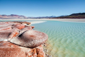 Z San Pedro de Atacama: Laguny i czerwone kamienie