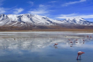 Von San Pedro de Atacama zu den Uyuni Salt Flats 4 Tage