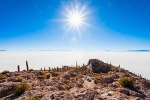 Fra San Pedro de Atacama: Uyuni saltslette 3 dager