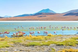 Fra San Pedro de Atacama: Uyuni saltslette 3 dager