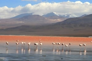 Z San Pedro de Atacama: Uyuni Salt Flat 3 dni