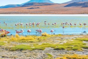 Depuis San Pedro de Atacama : Plateau salé d'Uyuni 3 jours