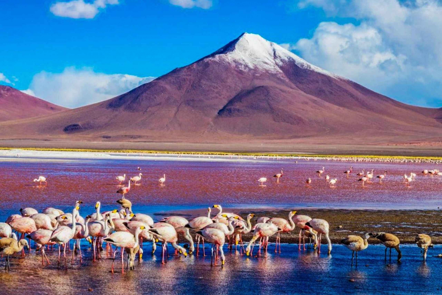 Från San Pedro de Atacama: Uyuni Salt Flat 4-dagar