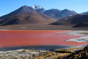 Från San Pedro de Atacama: Uyuni saltslätt 4 dagar