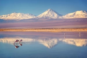 Desde San Pedro de Atacama: Salar de Uyuni 4 días